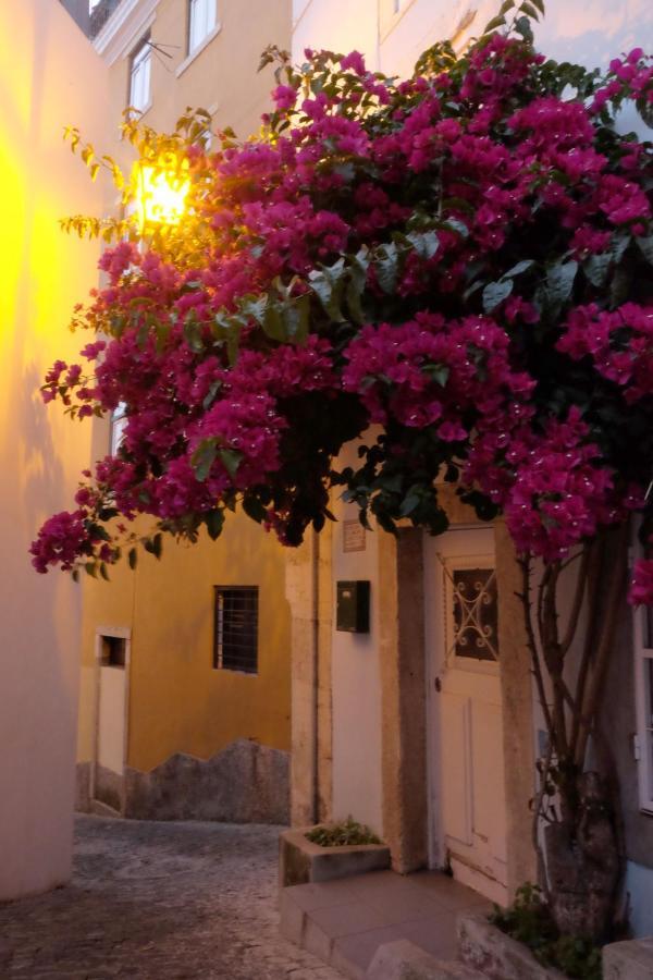Proa D'Alfama Guest House Lisbon Bagian luar foto