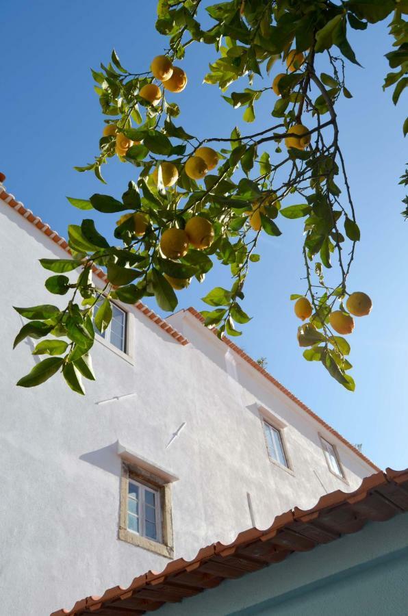 Proa D'Alfama Guest House Lisbon Bagian luar foto